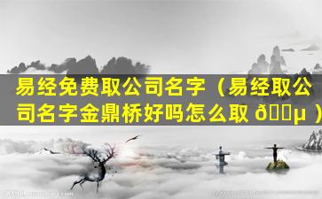 易经免费取公司名字（易经取公司名字金鼎桥好吗怎么取 🐵 ）